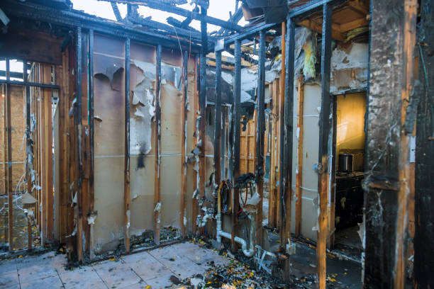 Professional Smoke Damage Removal technician working in Glade Spring, VA
